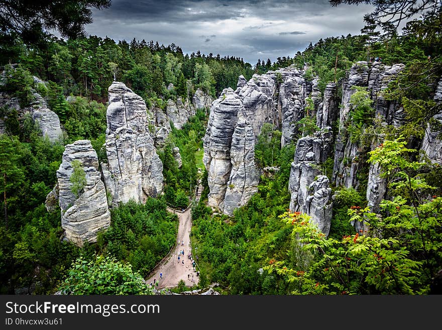 Nature, Vegetation, Nature Reserve, Wilderness