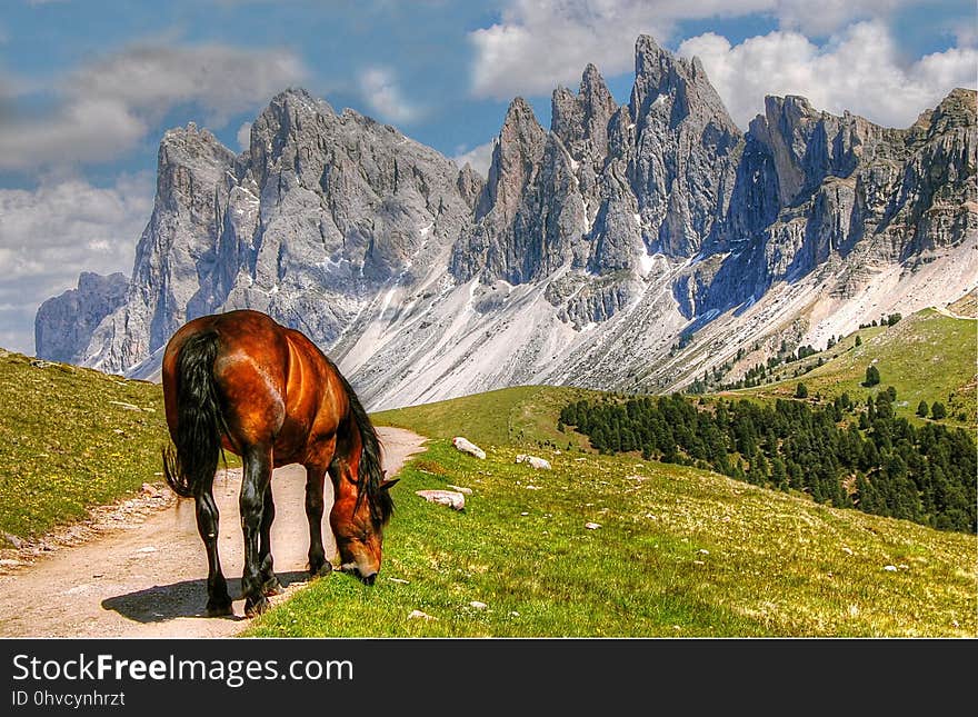 Mountainous Landforms, Mountain, Nature, Wilderness