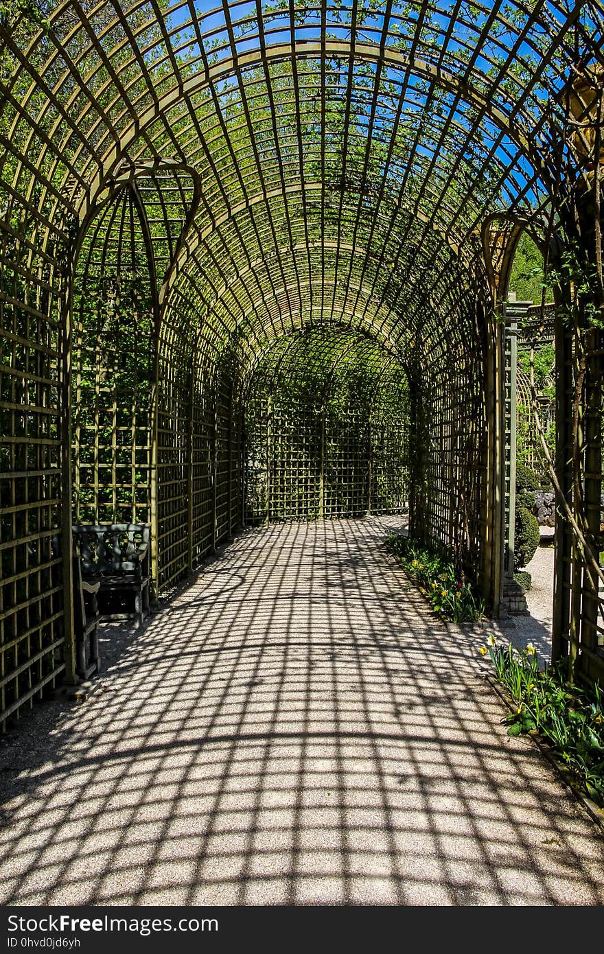 Arch, Walkway, Architecture, Structure