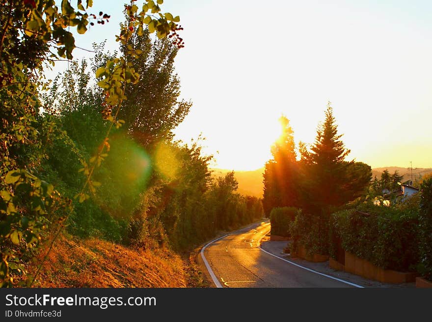 Nature, Sky, Road, Morning