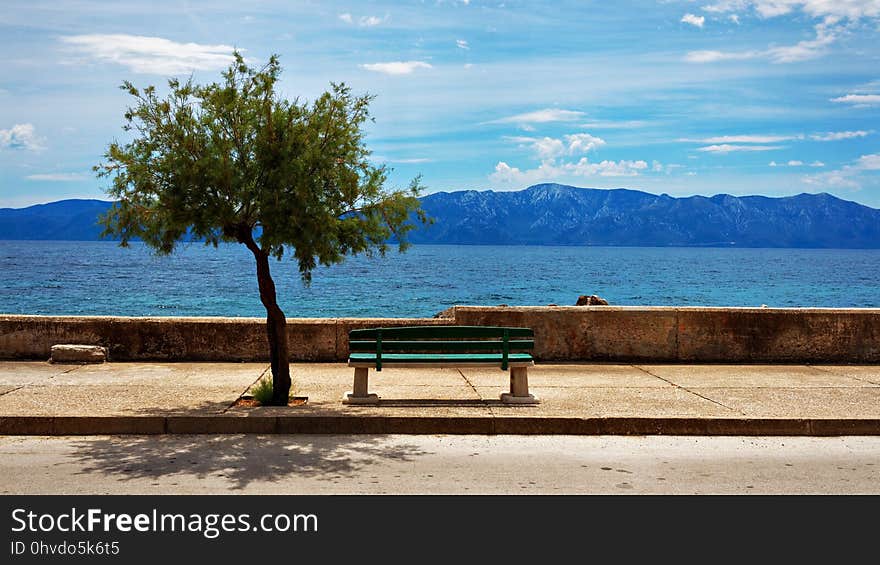 Sky, Shore, Sea, Tree