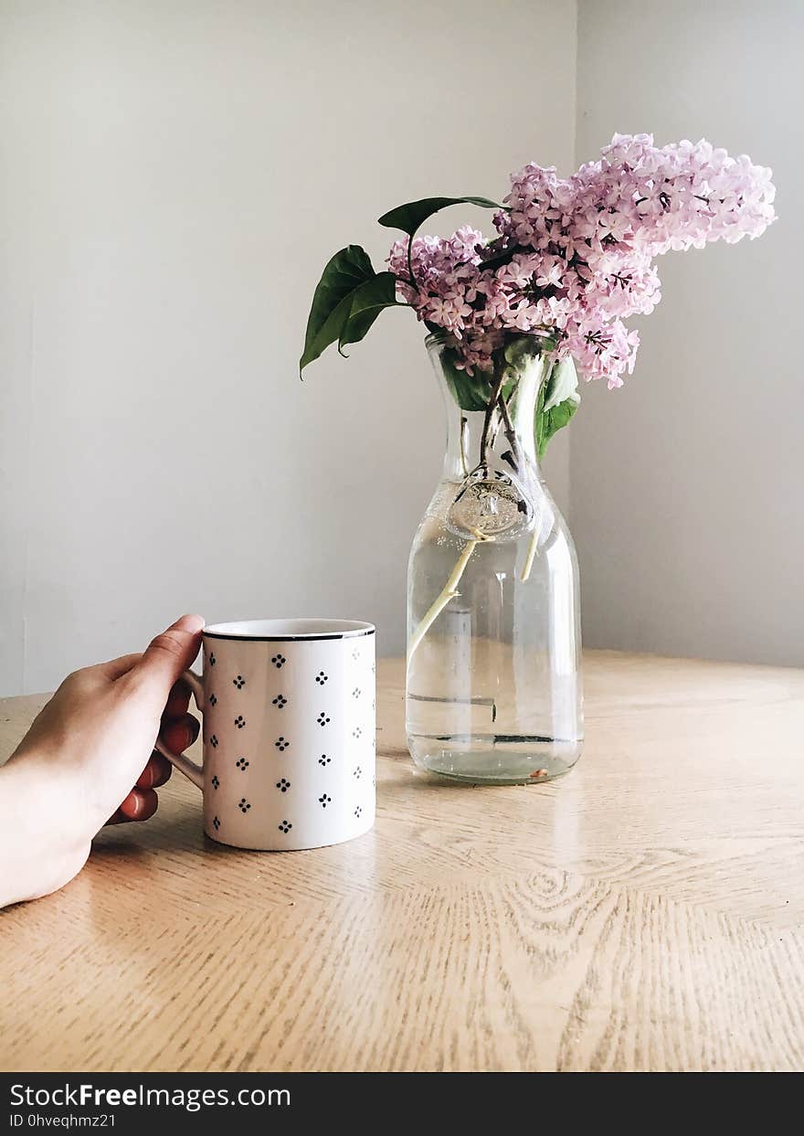 Vase, Flowerpot, Flower, Still Life Photography