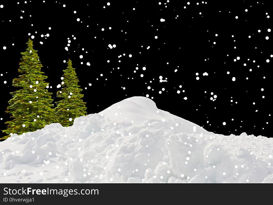 Christmas Tree, Sky, Winter, Snow