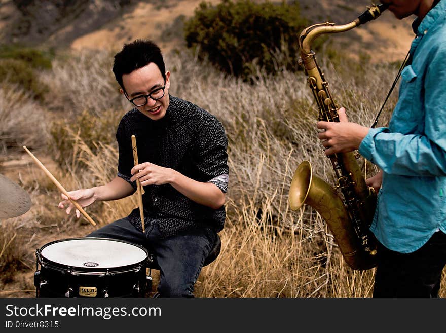 Musical Instrument, Musician, Grass, Tree