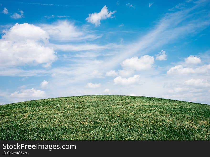 Sky, Grassland, Ecosystem, Field