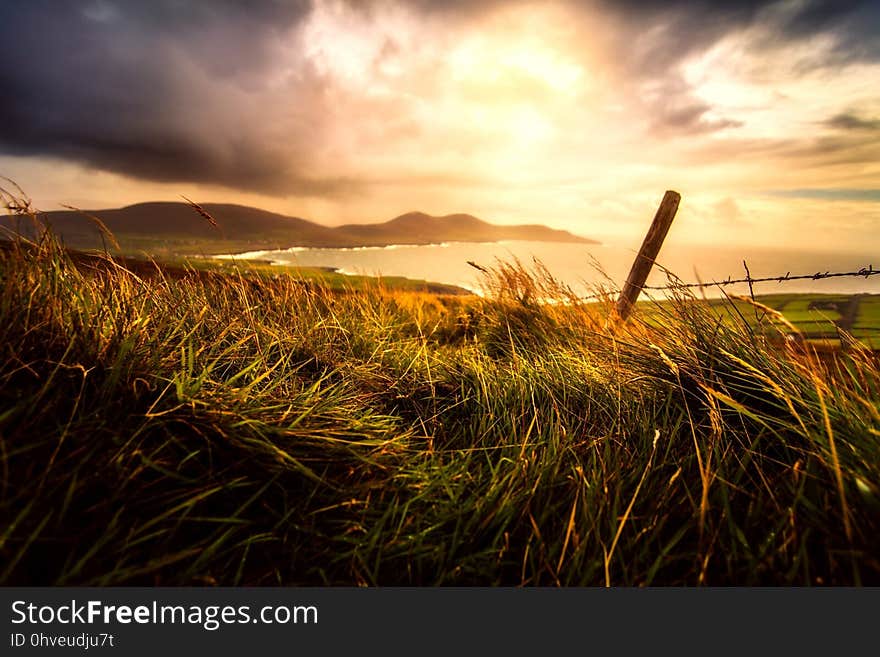 Sky, Grass, Field, Horizon