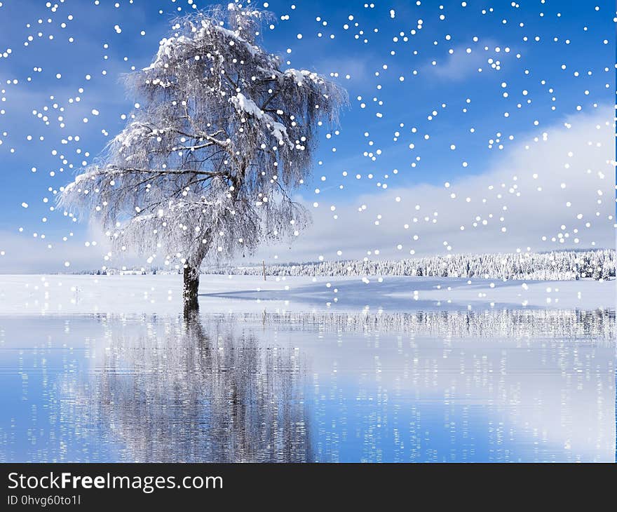 Water, Winter, Sky, Freezing