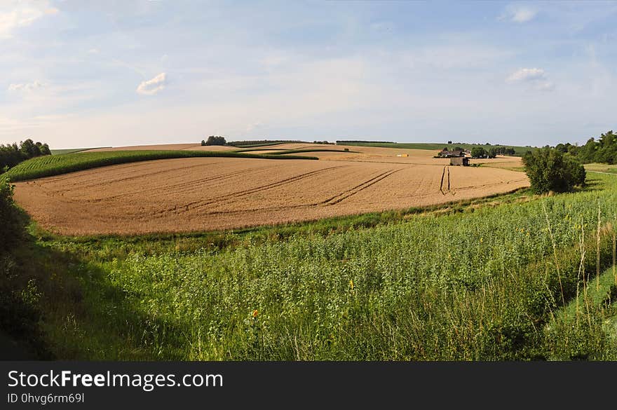 Field, Grassland, Farm, Plain