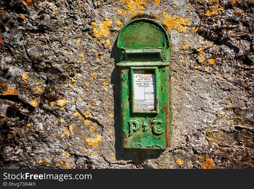 Green, Wall, Soil, Tree