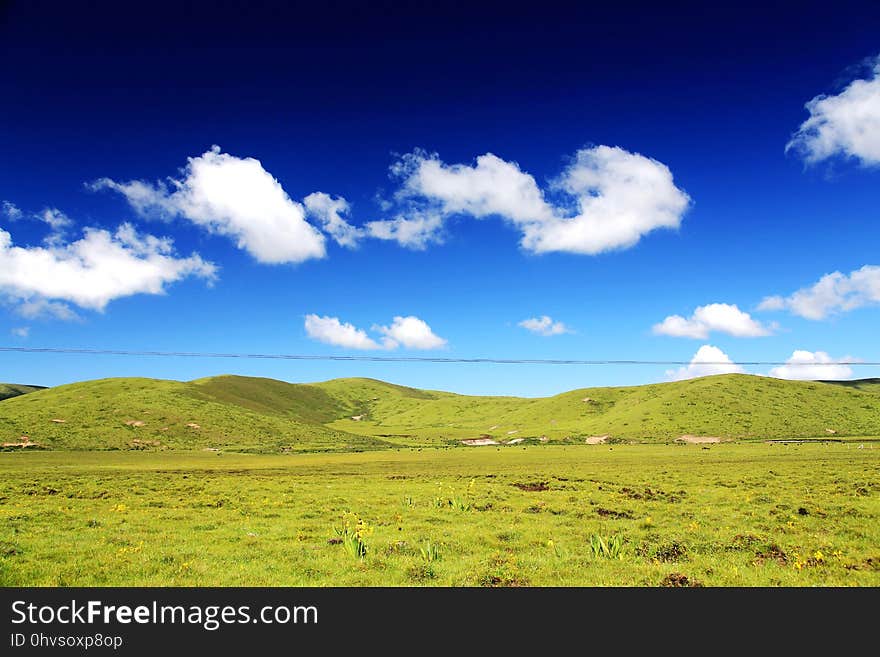 The Alpine Grassland scenery on the Qinghai Tibet Plateau , located in Qinghai province , China