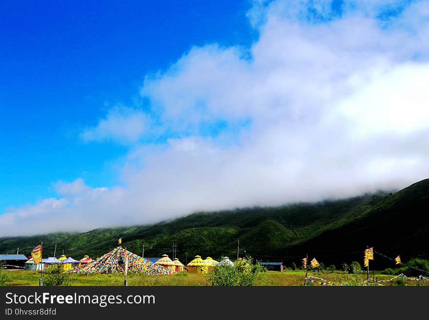 The Alpine Grassland scenery on the Qinghai Tibet Plateau