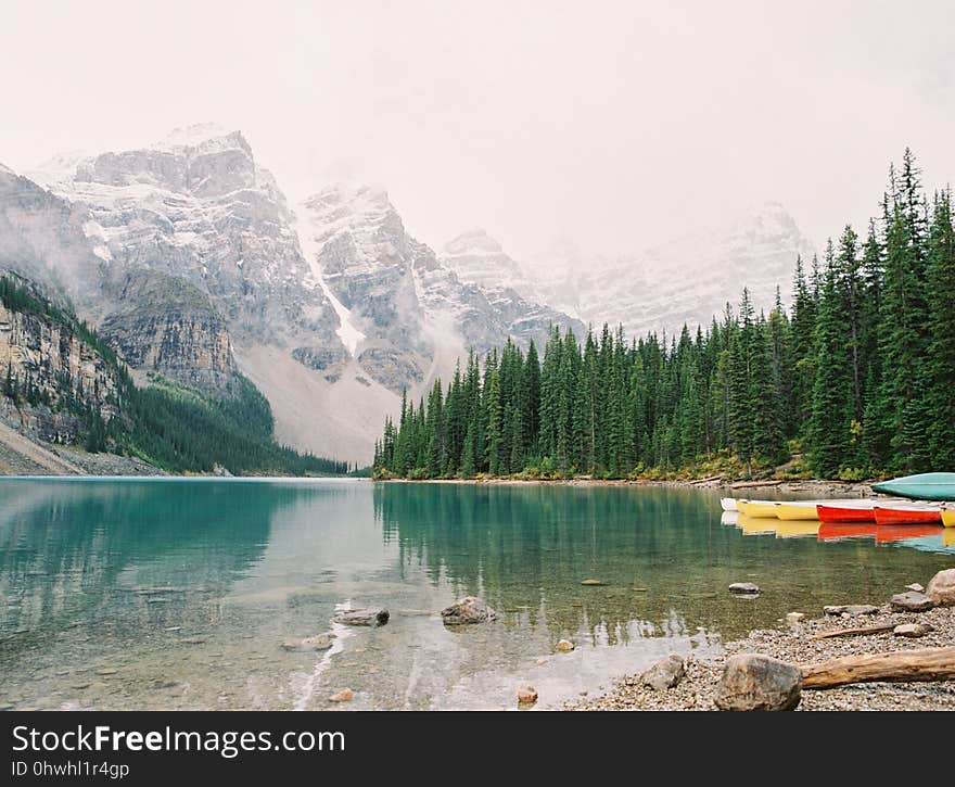 Nature, Water, Wilderness, Lake