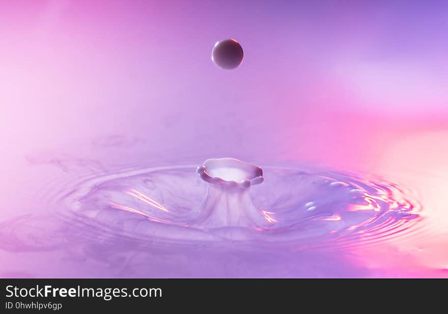 Water, Drop, Purple, Violet