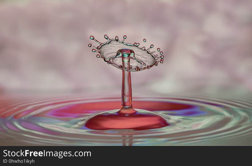 Water, Drop, Close Up, Macro Photography