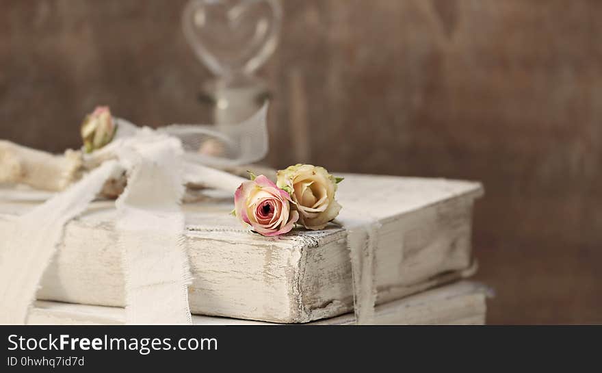 Flower, Close Up, Floristry, Petal