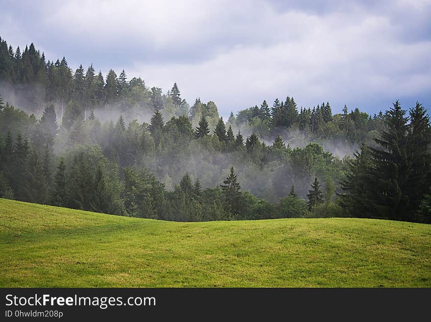 Nature, Tree, Sky, Mountainous Landforms