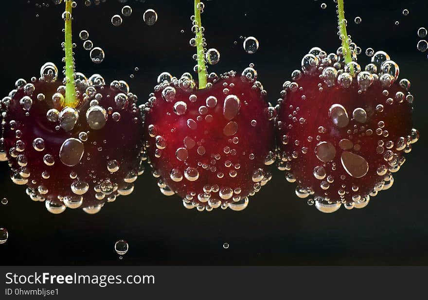 Water, Jewelry Making, Macro Photography, Moisture