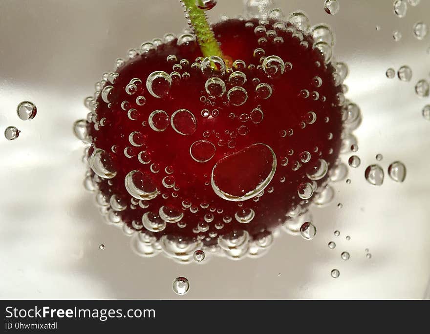 Christmas Ornament, Fruit, Macro Photography