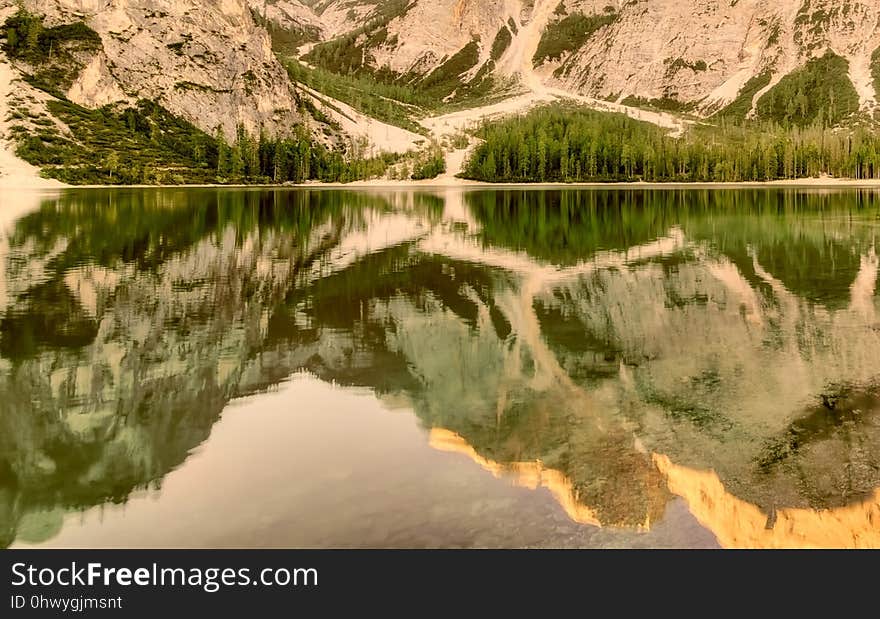 Reflection, Wilderness, Nature Reserve, Water