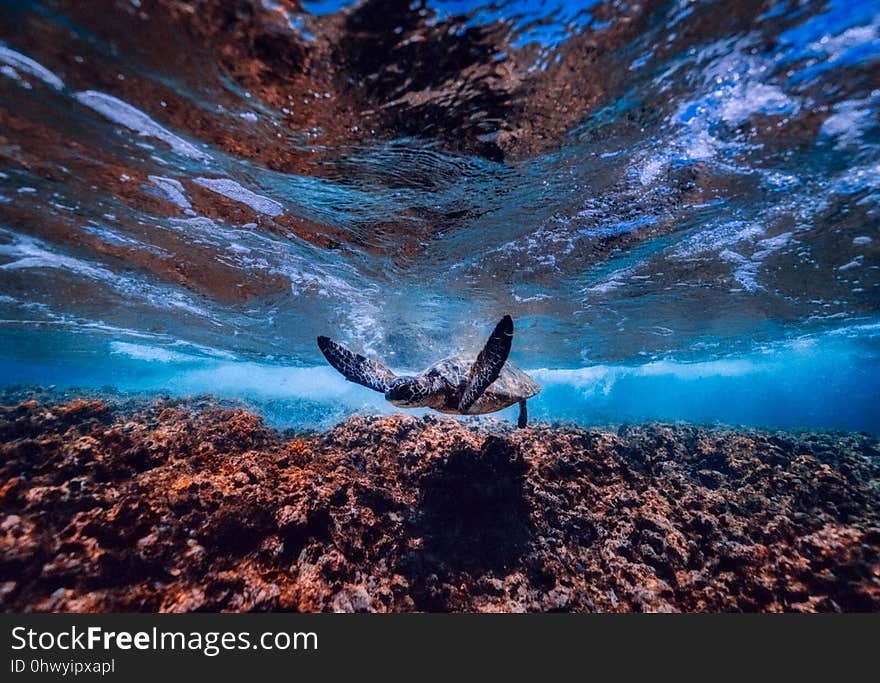 Sky, Water, Rock, Earth