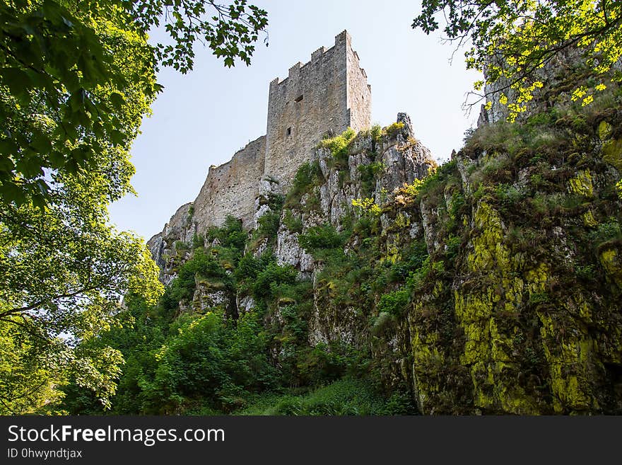 Tree, Castle, Leaf, Ruins