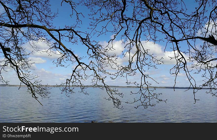 Water, Sky, Reflection, Branch