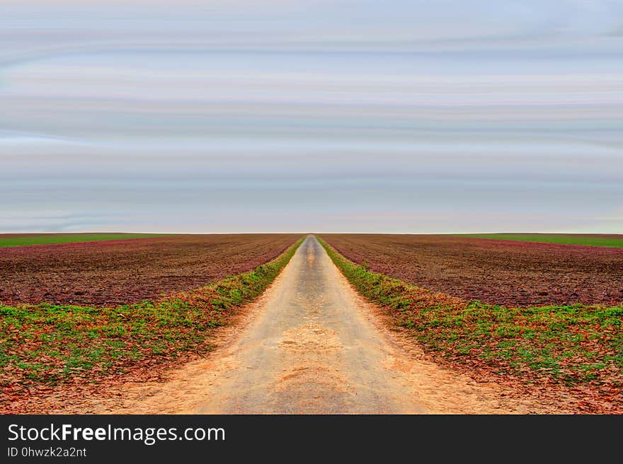 Field, Sky, Road, Horizon