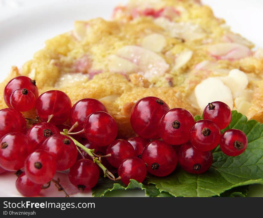 Fruit, Food, Frutti Di Bosco, Cranberry