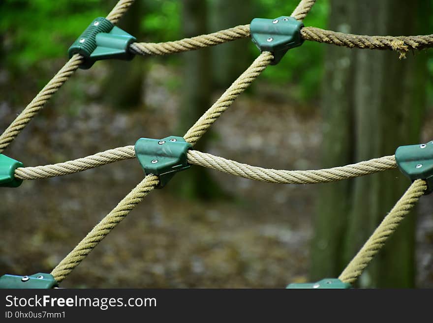 Rope, Branch, Tree, Plant Stem