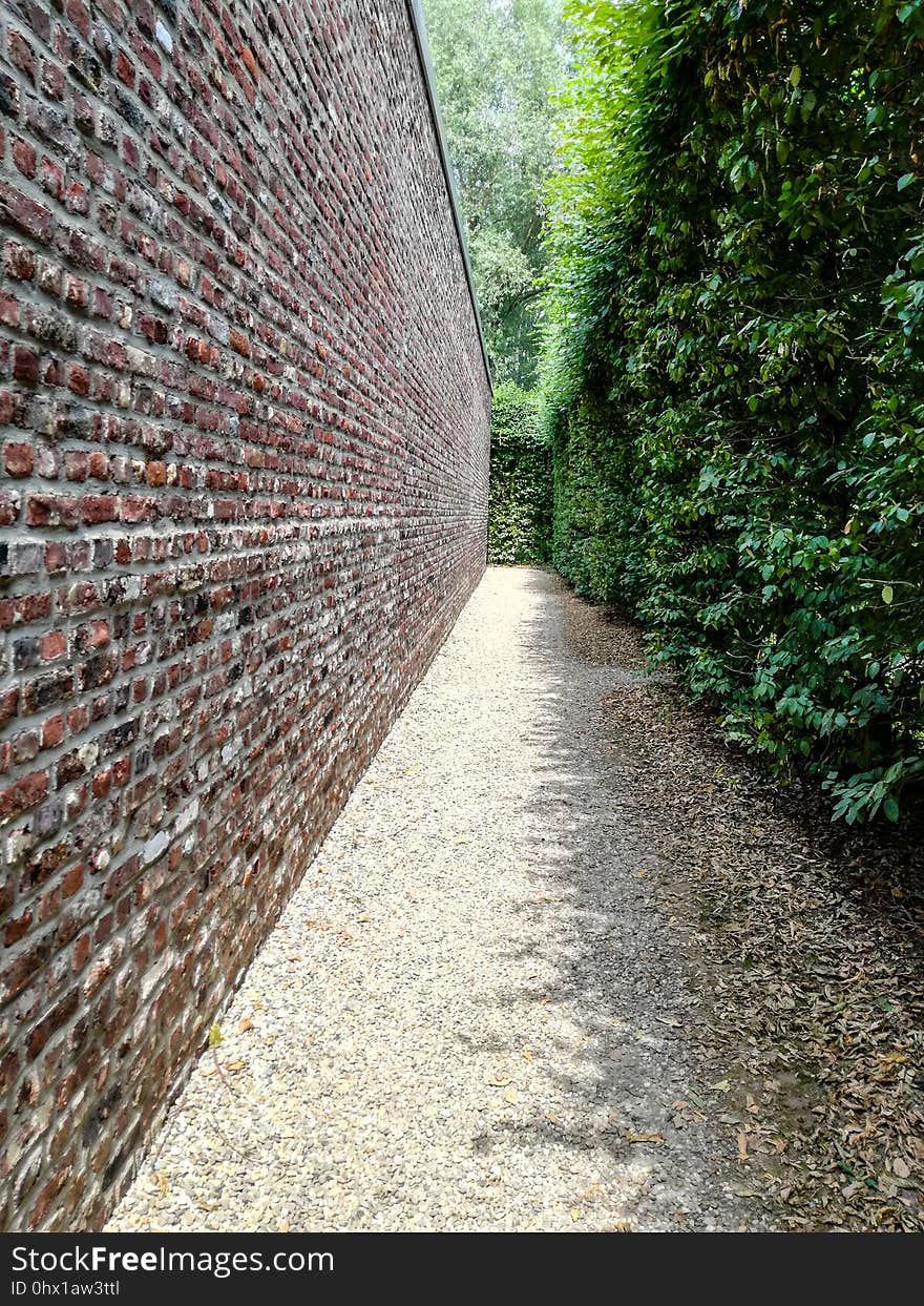 Path, Wall, Leaf, Tree