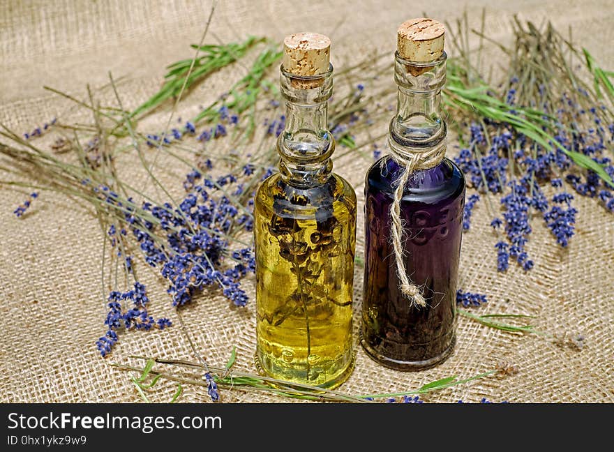 Glass Bottle, Herb, Plant