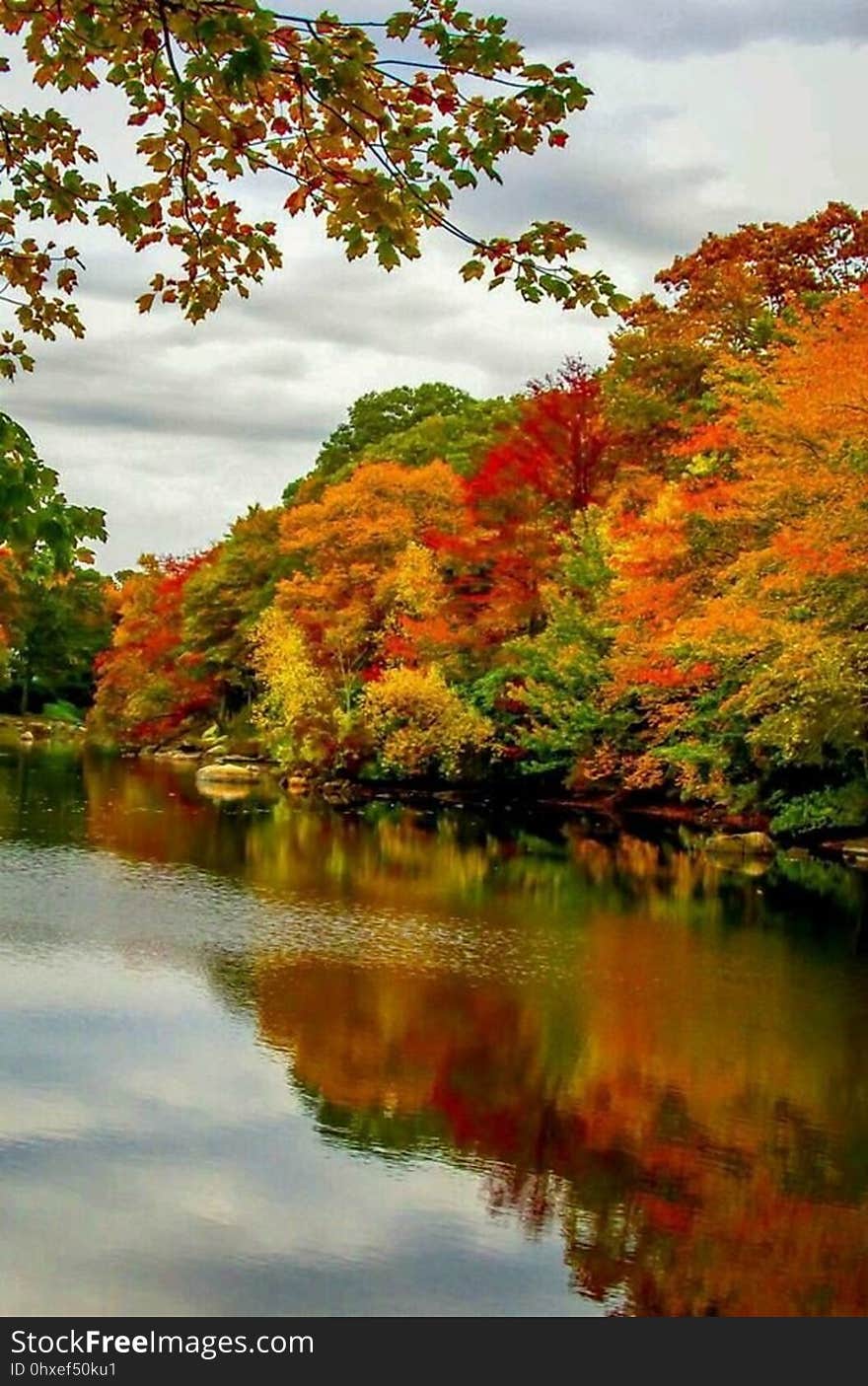 Scenic view of colorful autumn trees reflecting on lake.