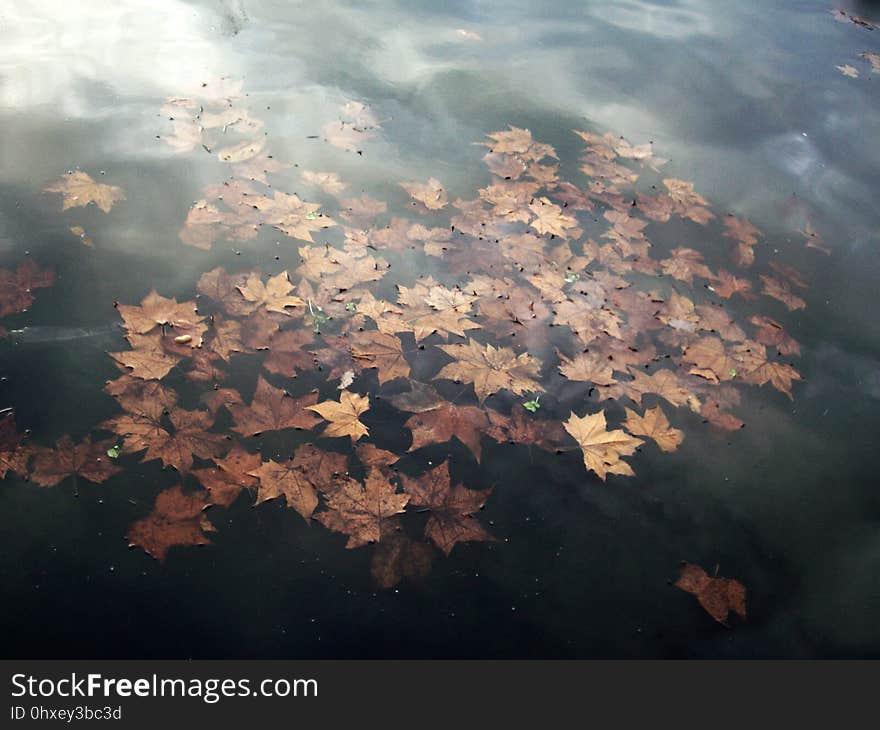 Water, Sky, Atmosphere, Reflection