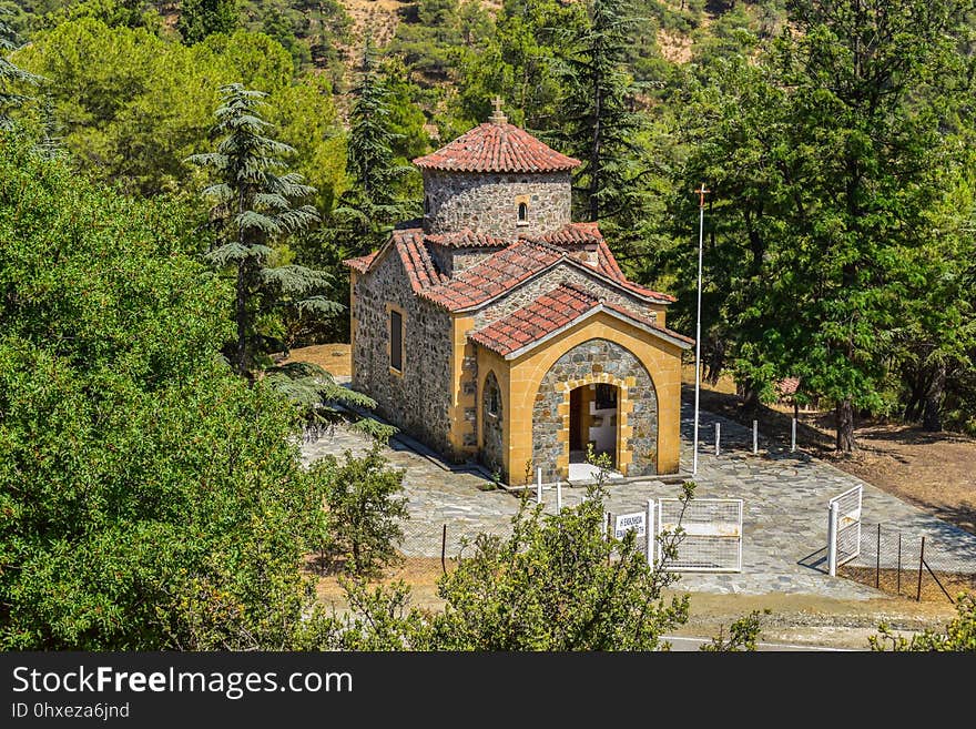 Medieval Architecture, Estate, Chapel, Tree