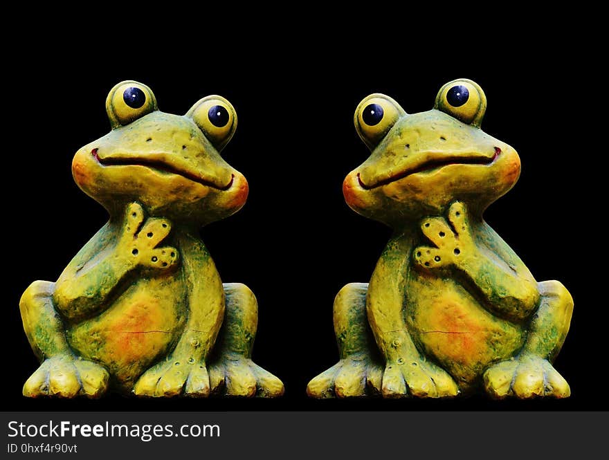 Ranidae, Amphibian, Frog, Toad