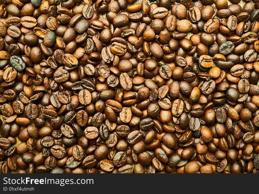 Jamaican Blue Mountain Coffee, Nuts & Seeds, Commodity, Seed