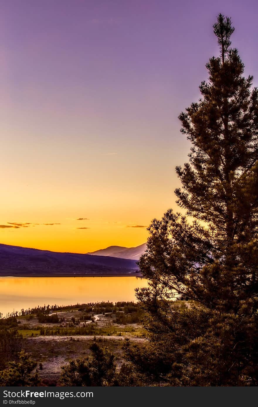 Sky, Nature, Tree, Sunrise