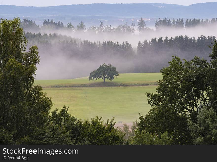 Mist, Nature, Highland, Fog