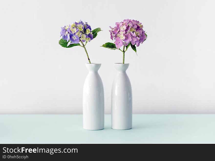 Vase, Purple, Lilac, Flower