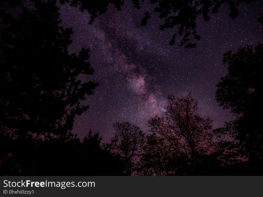 Sky, Nature, Atmosphere, Night