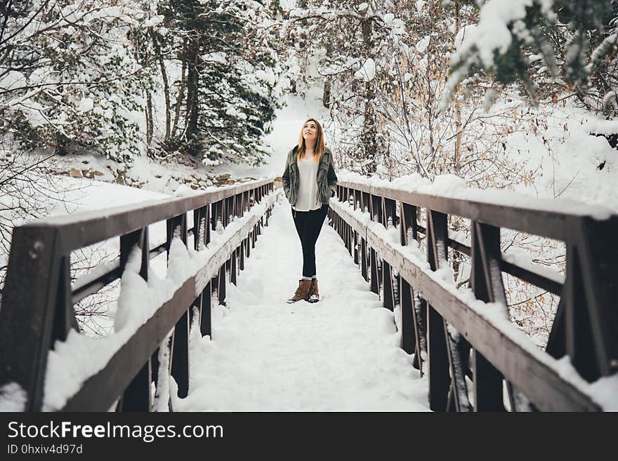 Snow, Winter, Photograph, Freezing