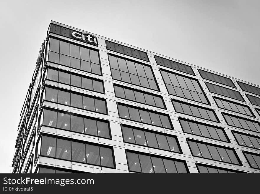 Building, Commercial Building, Landmark, Black And White