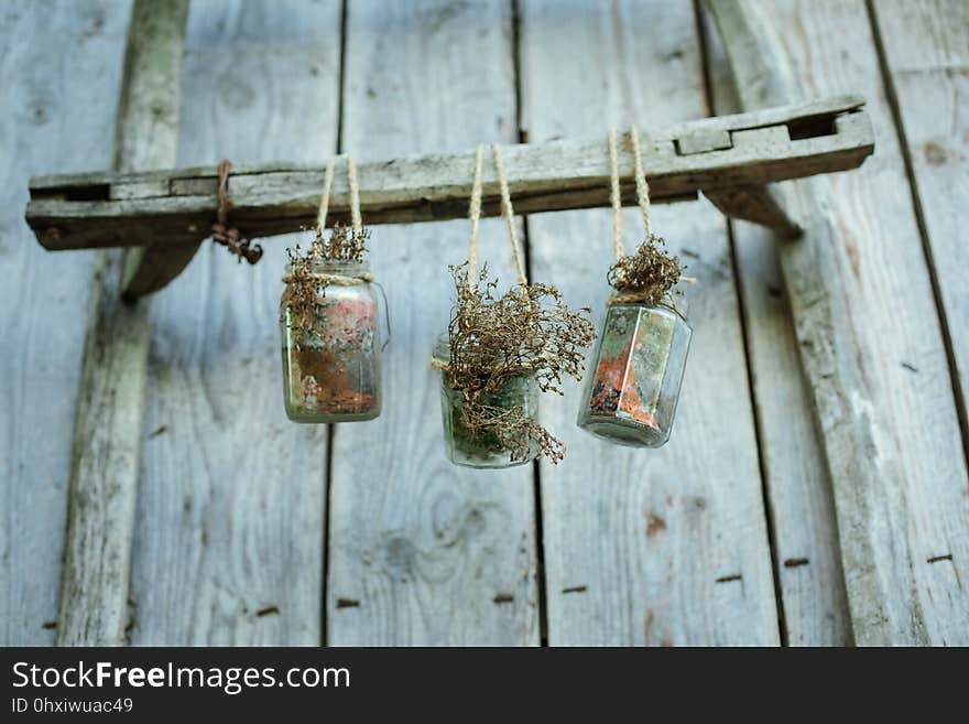 Wood, Bird Feeder, Twig