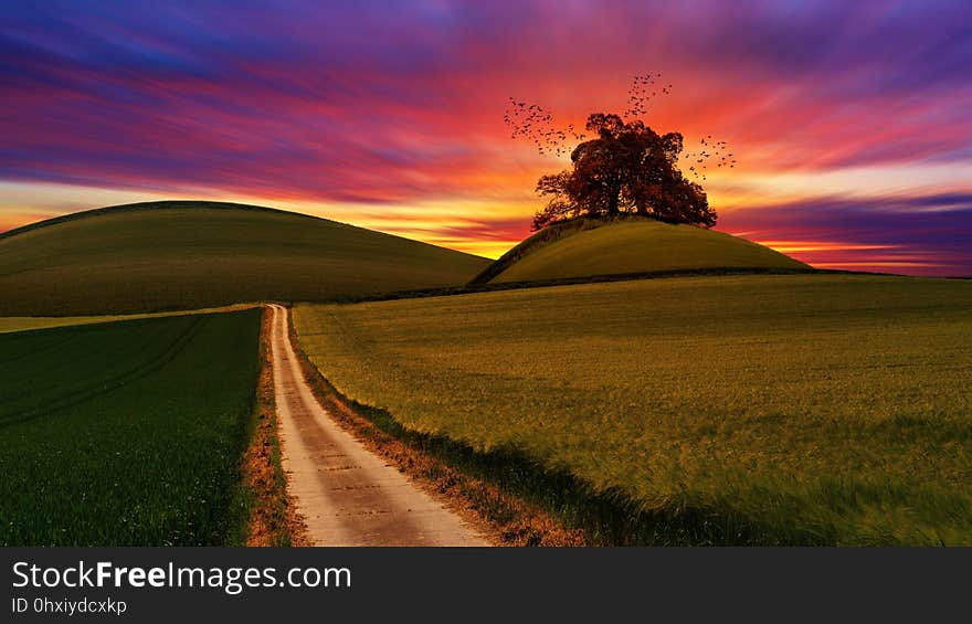 Field, Sky, Infrastructure, Grassland