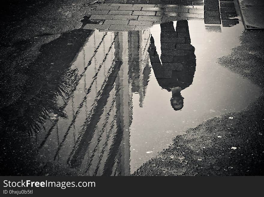 Reflection, Water, Black, Photograph