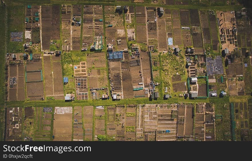 Suburb, Residential Area, Bird's Eye View, Aerial Photography