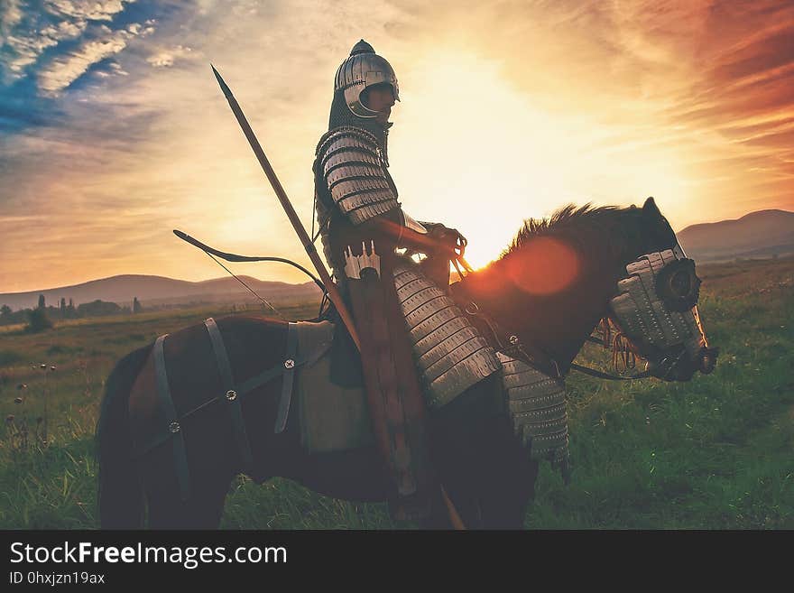 Sky, Sunlight, Grass, Horse Like Mammal