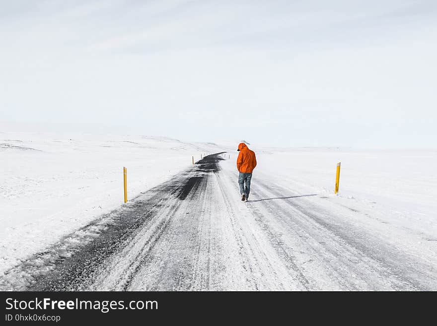 Snow, Arctic, Winter, Freezing