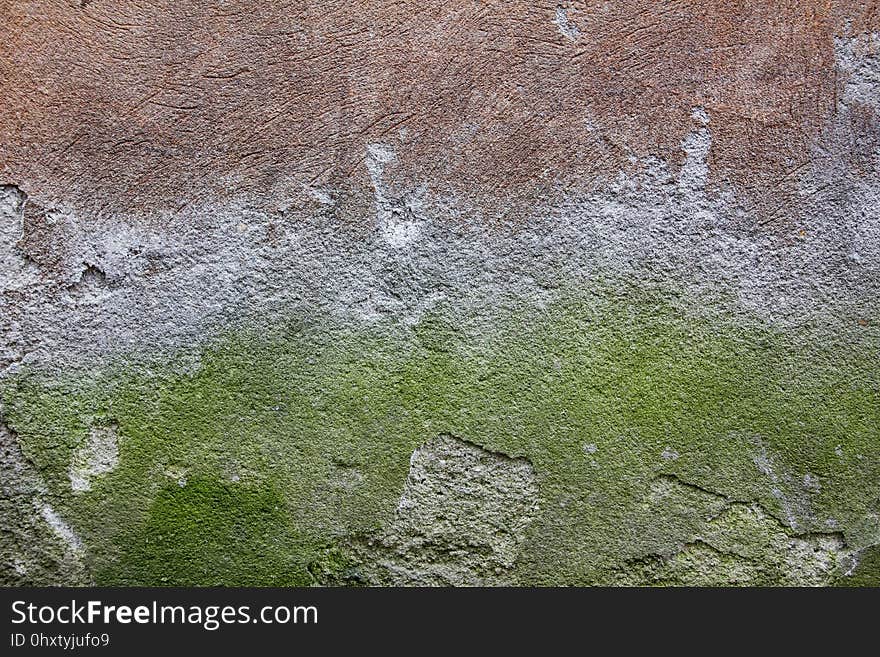 Green, Wall, Texture, Grass