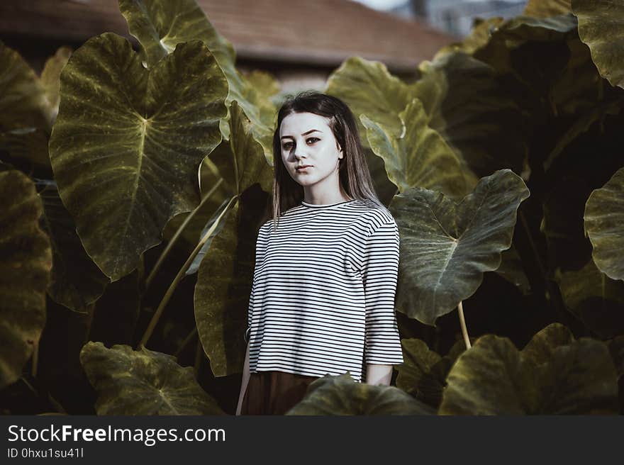 Nature, Leaf, Beauty, Girl